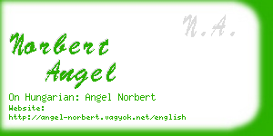 norbert angel business card